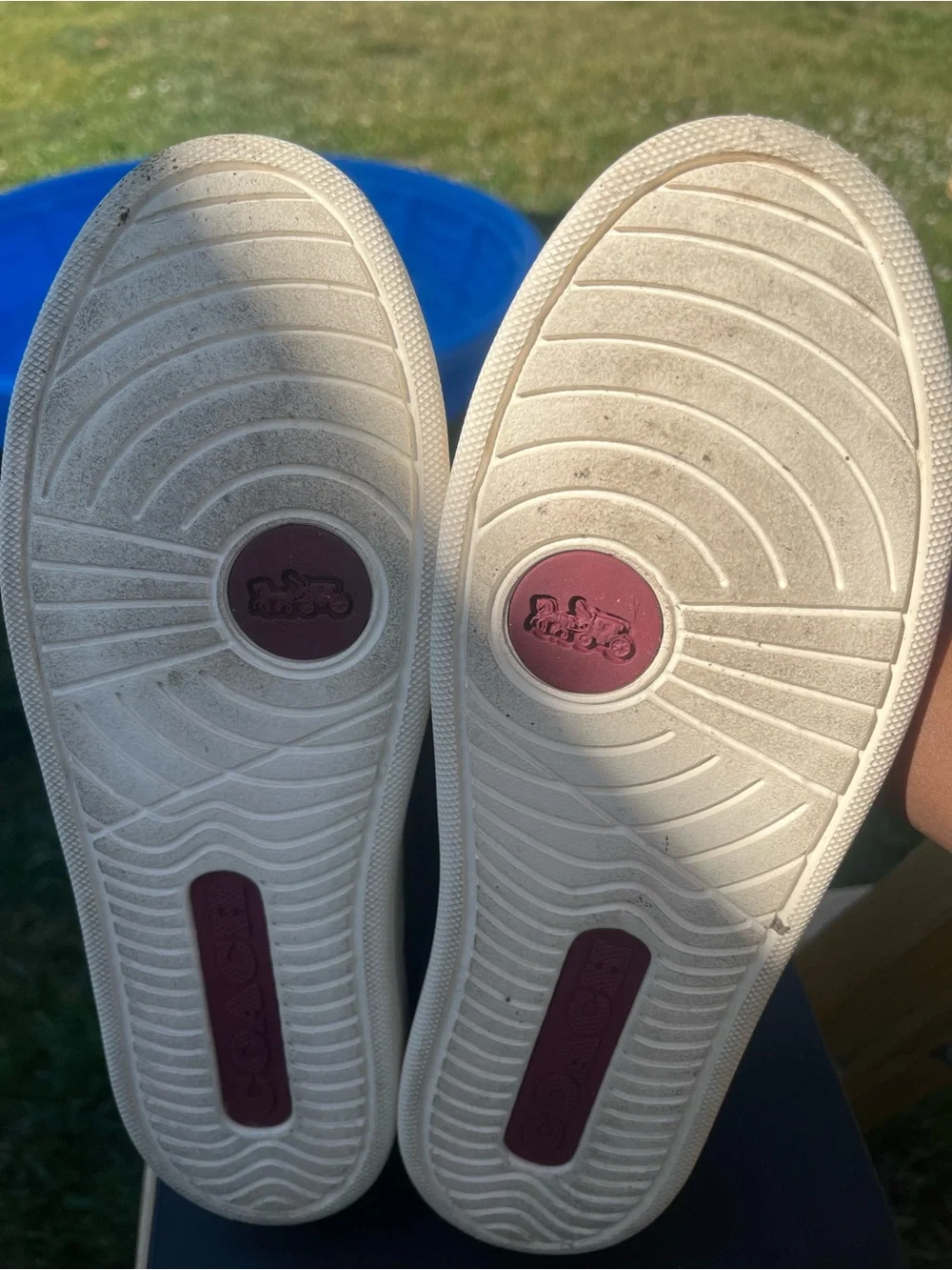 Coach Multicolor Signature C Low-Top Sneakers - White Trim - Picture 3 of 5